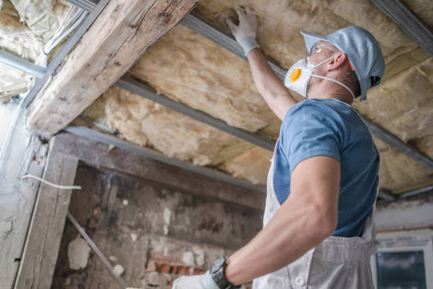 Best Insulation Materials and Products in Bull Run, VA