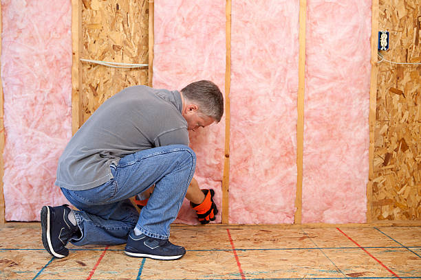 Best Insulation Maintenance and Repair in Bull Run, VA